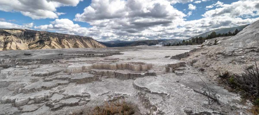 Mammoth Hot Springs